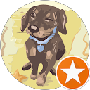 Daniel Kenney profile picture